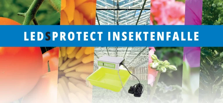 Effektiver Insektenschutz mit der LedsProtect 3 Fluor Insektenfalle - erhältlich bei GBC Österreich